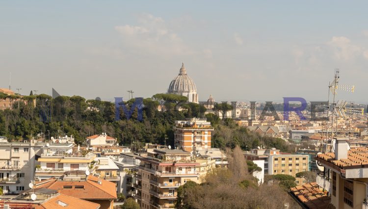 LUC09541